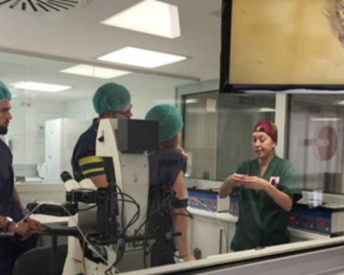 Il laboratorio di vetro che permette ai pazienti di assistere alla fecondazione assistita