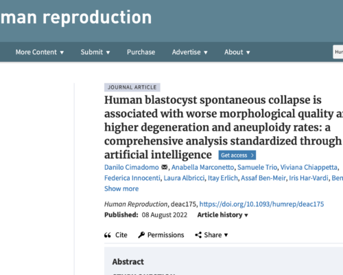 El colapso espontáneo de blastocistos podría ser un biomarcador de menor aptitud reproductiva.
